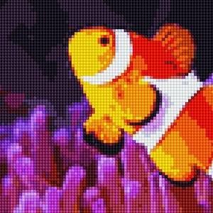 Meet your Posher, Cheryl r